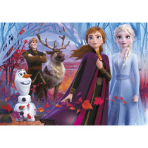 Disney Frozen 2 Puzzle – 104 Pieces