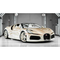 Mr Collection Bugatti...