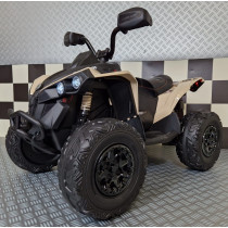 New Can-Am Maverick 24V...